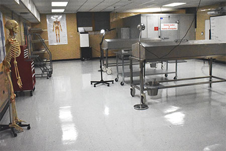 Cadaver Lab