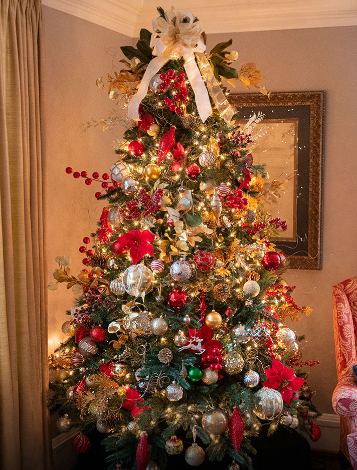 The Christmas tree in the President's Home