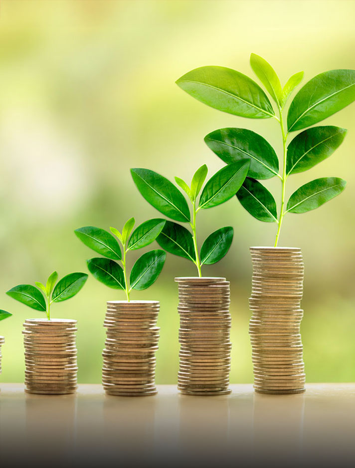 Stacks of coins with plants growing out of them