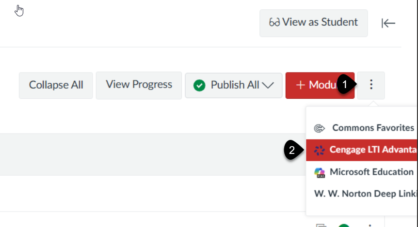 Cengage Selection in Canvas Modules